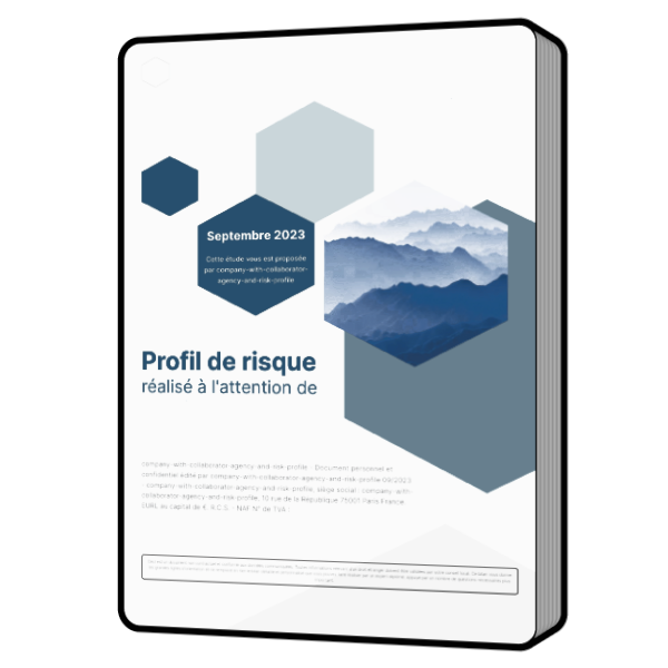 Vue 3D du profil risque